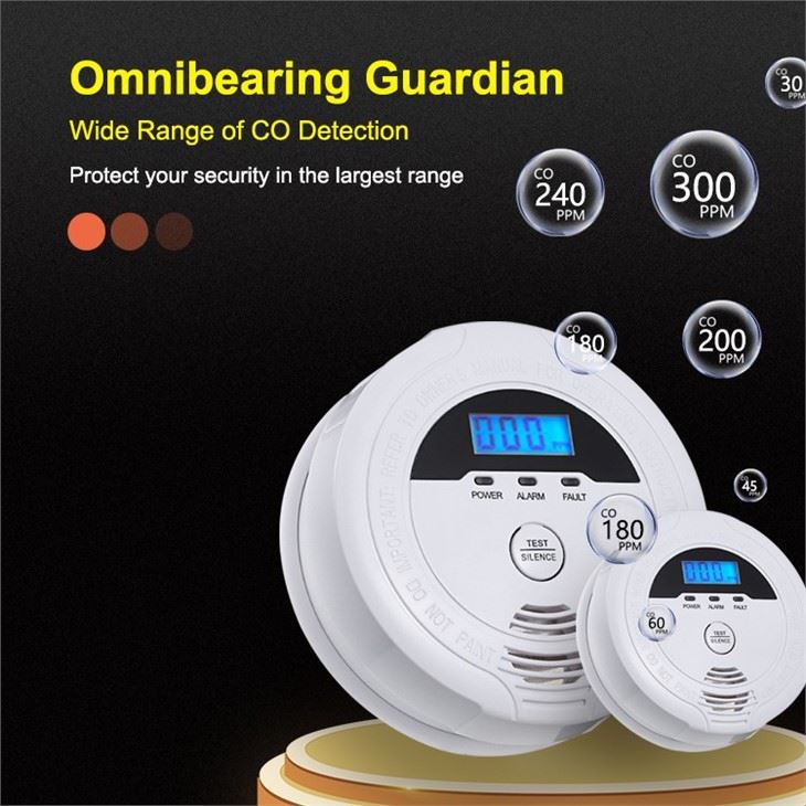 Home Carbon Monoxide Detector